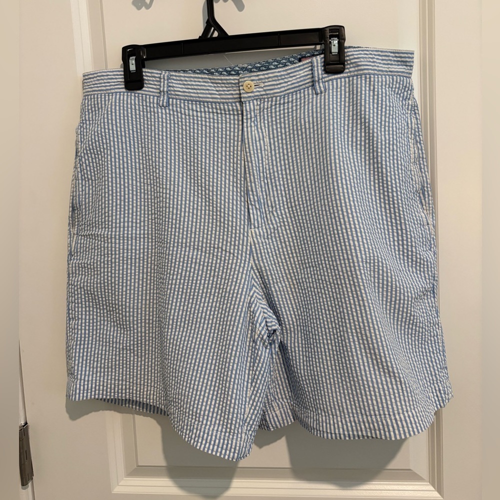 Blue and White Striped Shorts